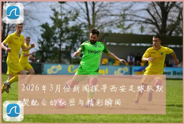 2026年3月份新闻探寻西安足球队默契配合的秘密与精彩瞬间